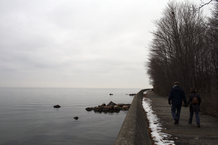 nature (54)
