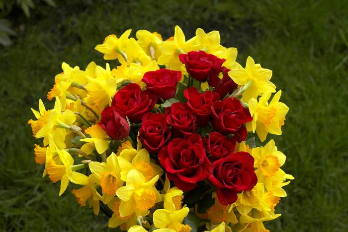 R6 - Roses red and yellow narcissus bouquet