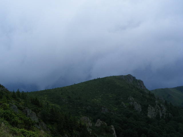 DSCF3050