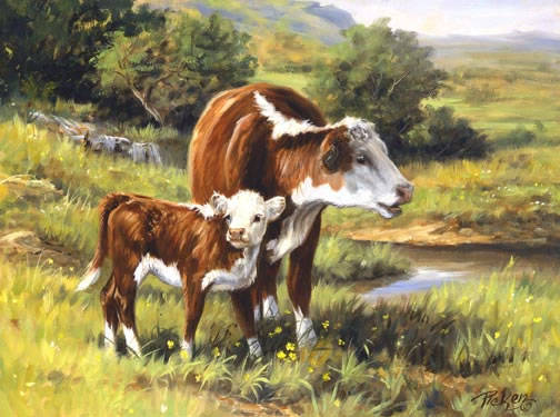 Hereford and Calf_jpg