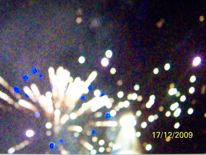 100_7089 - 1 Decembrie Timisoara