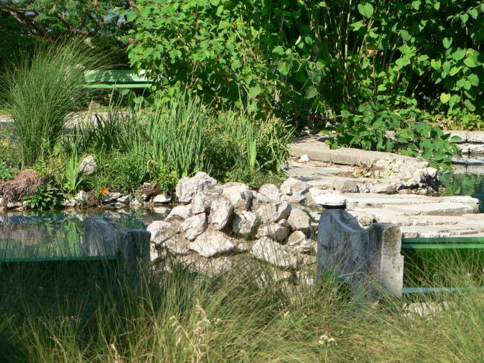 P1000109 - 2007 in plimbare prin herastrau