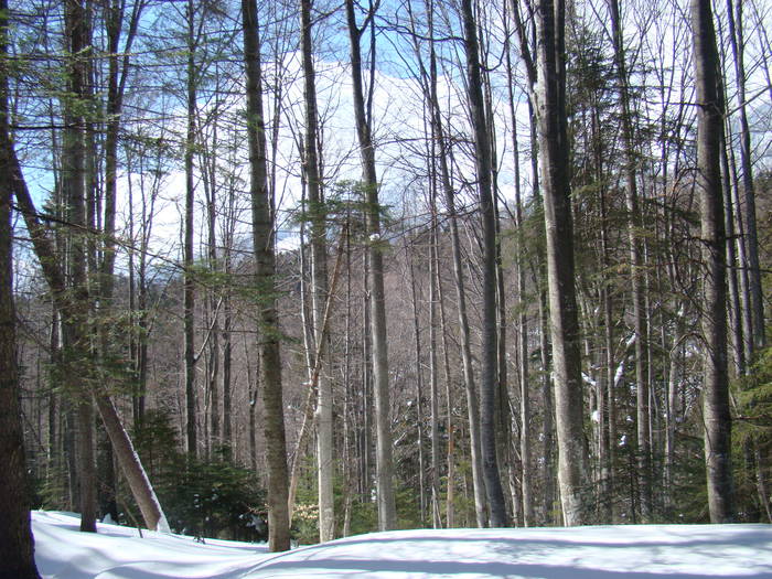 DSC02874