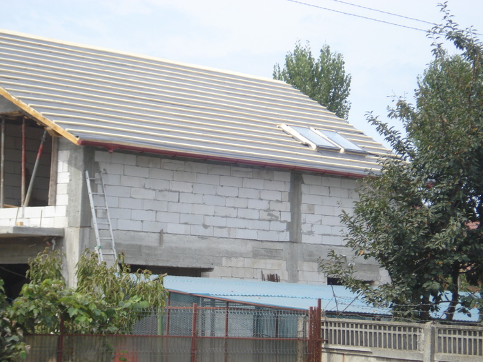 DSC02325