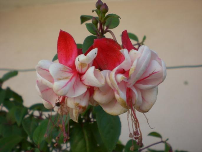 aug 2008 022