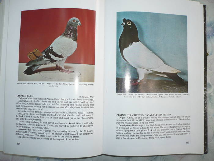 e16 - 8-Enciclopedie cu peste 300 rase de porumbei