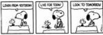 snoopy (67) - snoopy