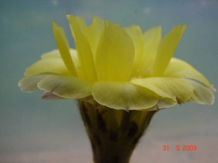 DSC05898