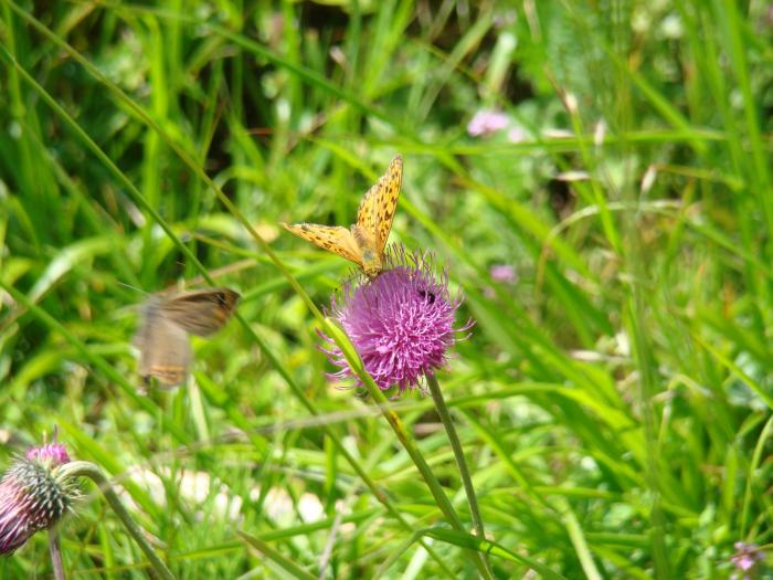 DSC01976 - Concediu 2008