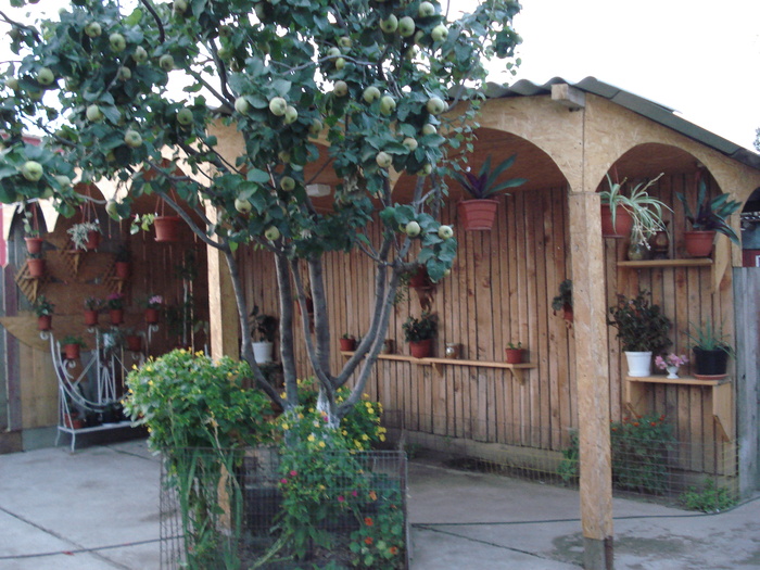 DSC09831