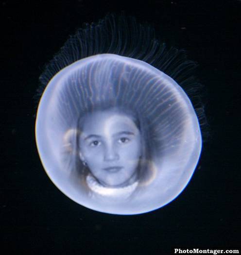 1_vz4WocIB - eu in lumea mea