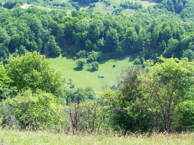 DSCF0550