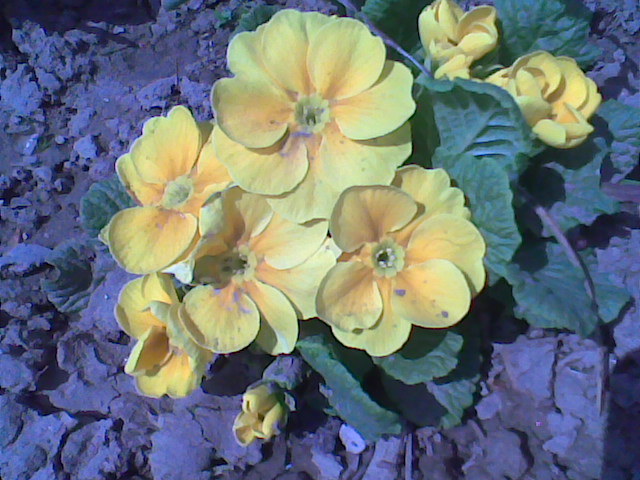 Imag011