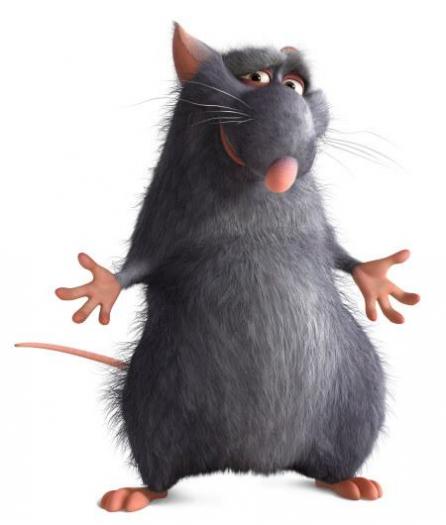 Ratatouille-1182796681 - Ratatouille