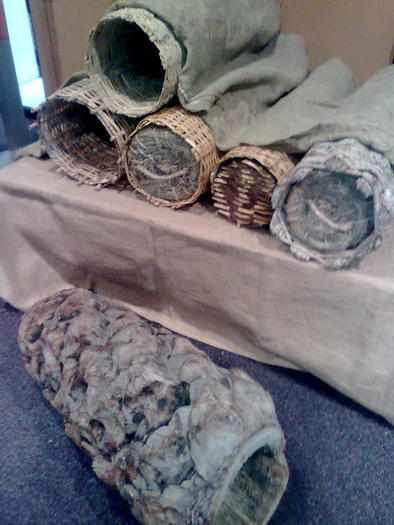 Imagine1097 - ApiMondia