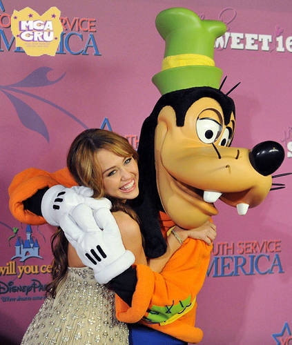 PCBDKXWCNLJCDPVNILP - 1Toate pozele mele1