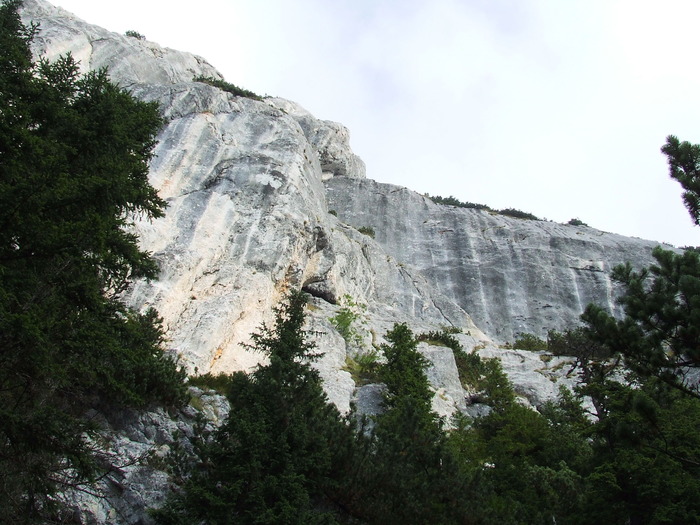 2009_08210173; Romania
