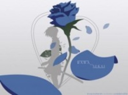 m_2599 - Trandafiri albastri