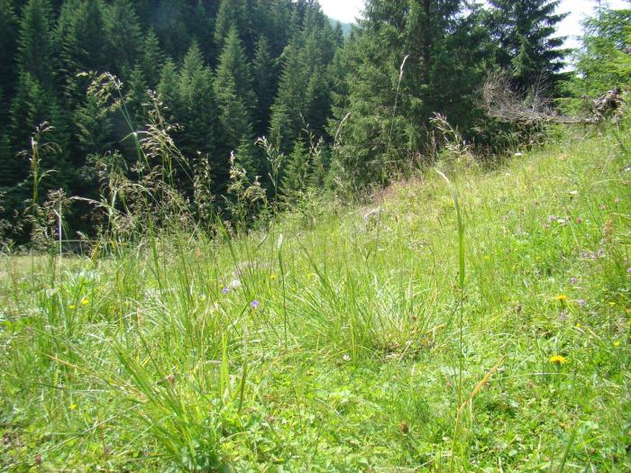 DSC01974 - Concediu 2008