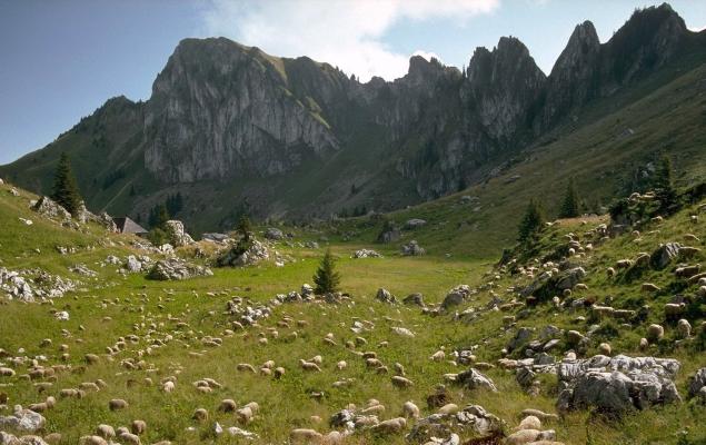 SUISSE2 - wallpaper
