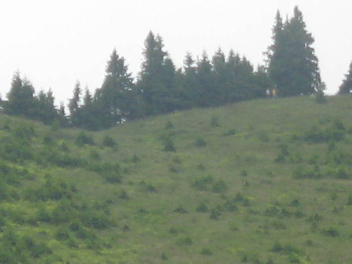 IMG_4389 - 2009-06-29 - Masivul Ciucas -muntele rosu si imprejurimi
