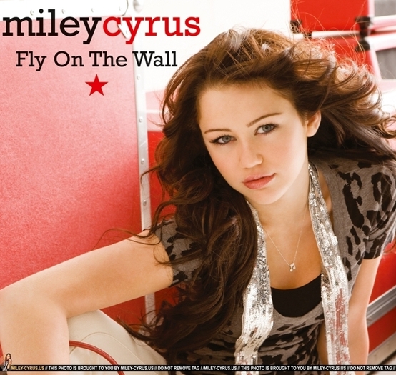 miley-cyrus-fly-on-the-wall-cover - Album pentru yubytzyk14