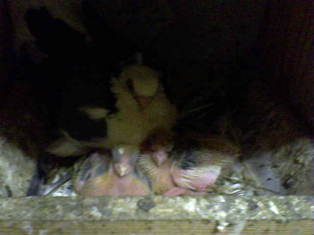 Picture 018