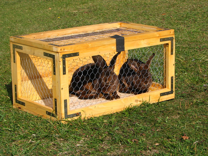cutie expunere iepuri si pasari la targuri....etc. - Custi de iepuri si altele- la comanda