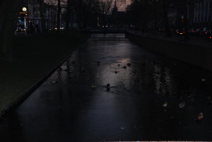  - Poze din strainatate