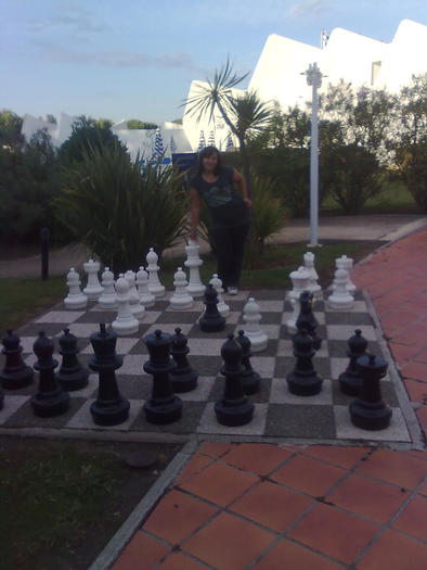 regina de alb - ApiMondia