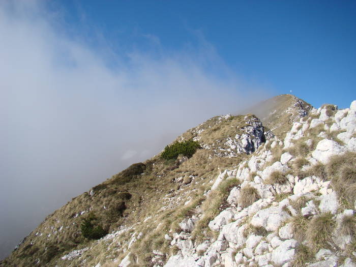 DSC03223 - Piatra Craiului MAI