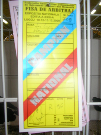 SANY0100 - poze expo 2009