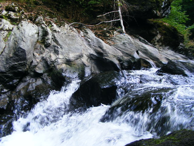 DSCF5163