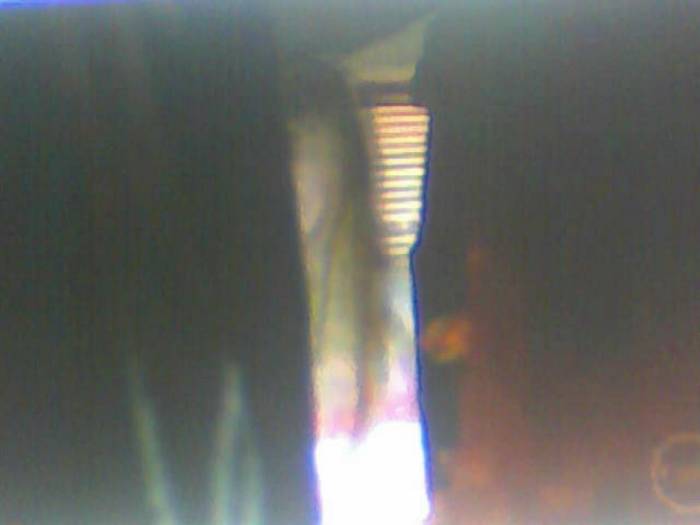 snapshot-397 - Sora lui Cleo Kim