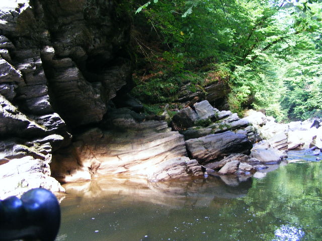 DSCF5218