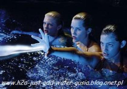 1136221_l - H2O just add water