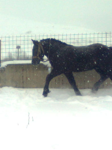 Imagine0323; 6 luni...
