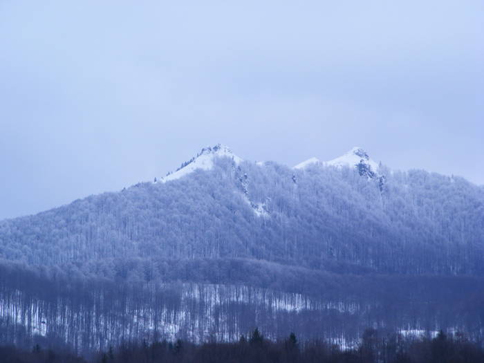 DSCF7643 - Cavnic -Budesti-Breb-Desesti -Mara