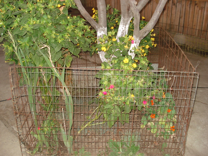 DSC09818