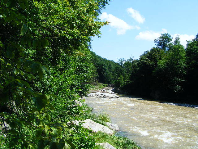 DSCF2459
