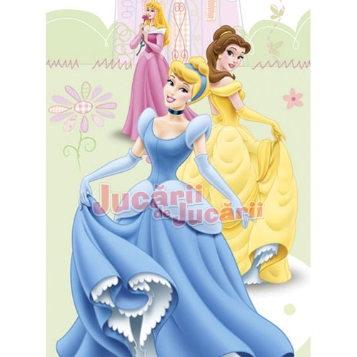 374 - Disney Princes