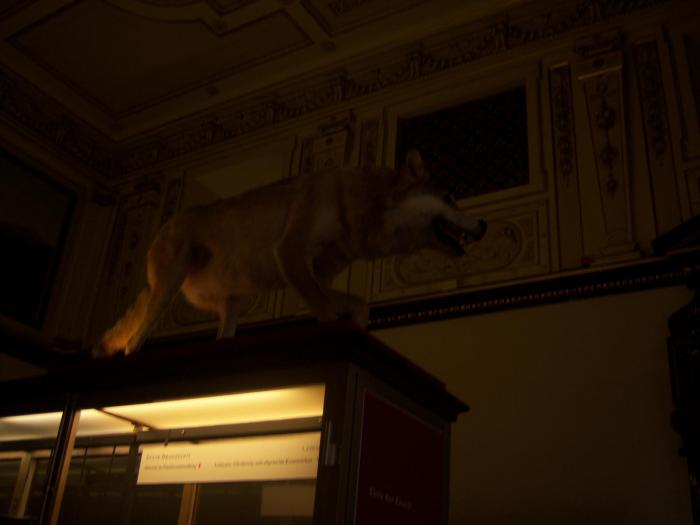 100_1859 - austria 2008