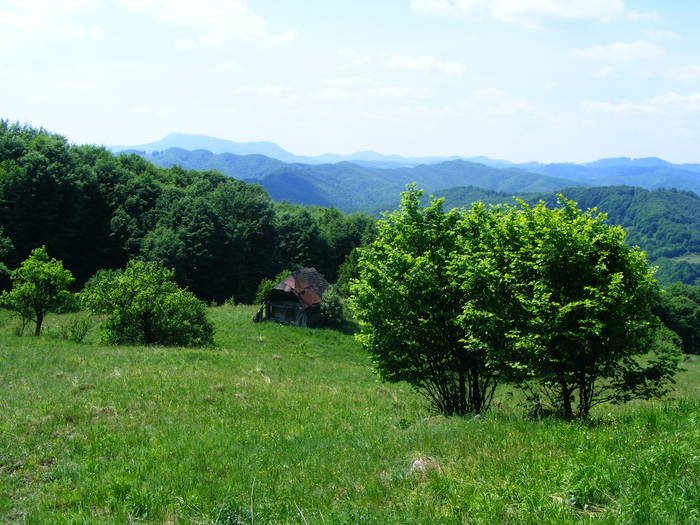 DSCF1091