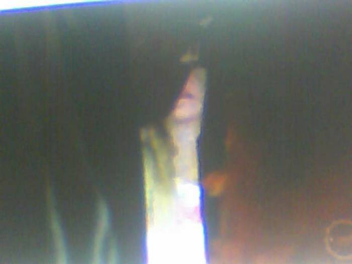 snapshot-399 - Sora lui Cleo Kim