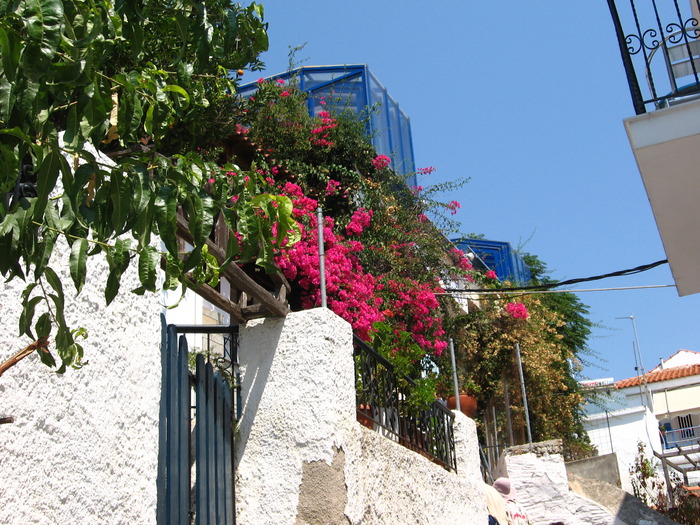 IMG_5050 - Skiathos