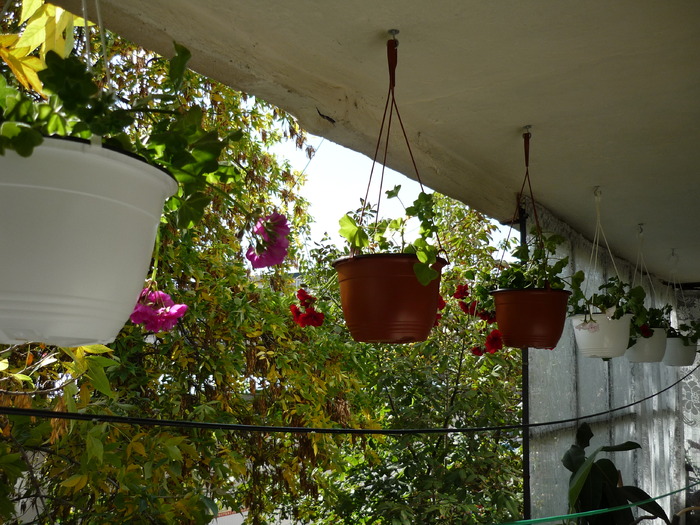 oct. 2009