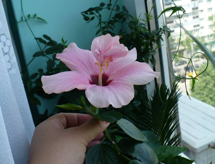 P1140302