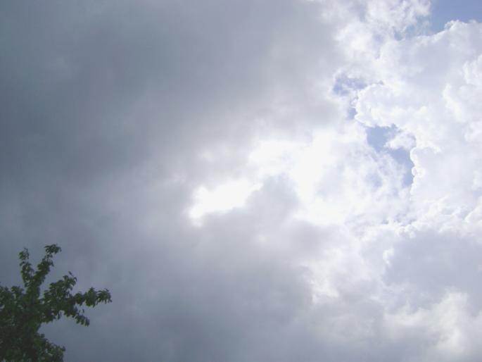 DSC08797