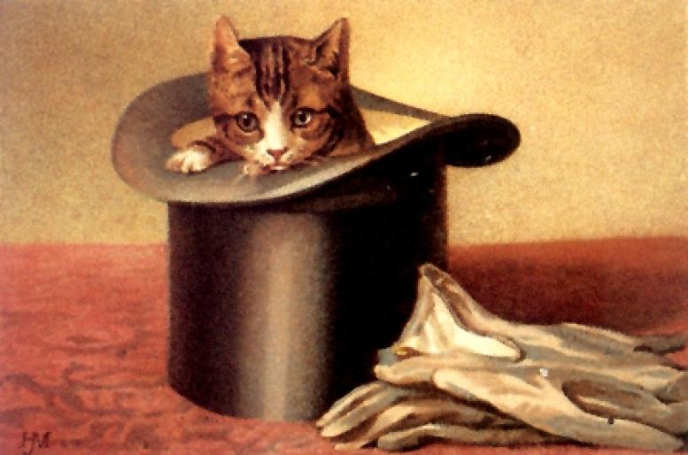 chats2 - Animalute Frmoase