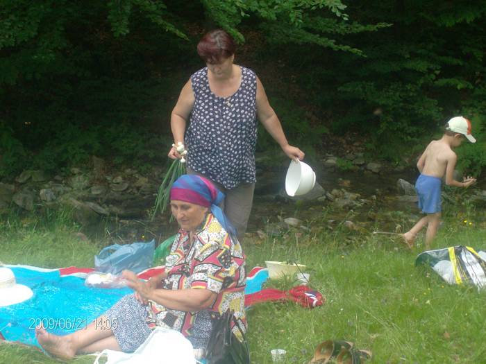 Picture 021 - La iarba verde iunie 2009